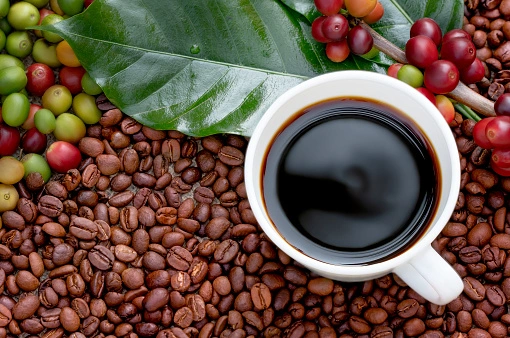 A cup of coffee in a natural farm 